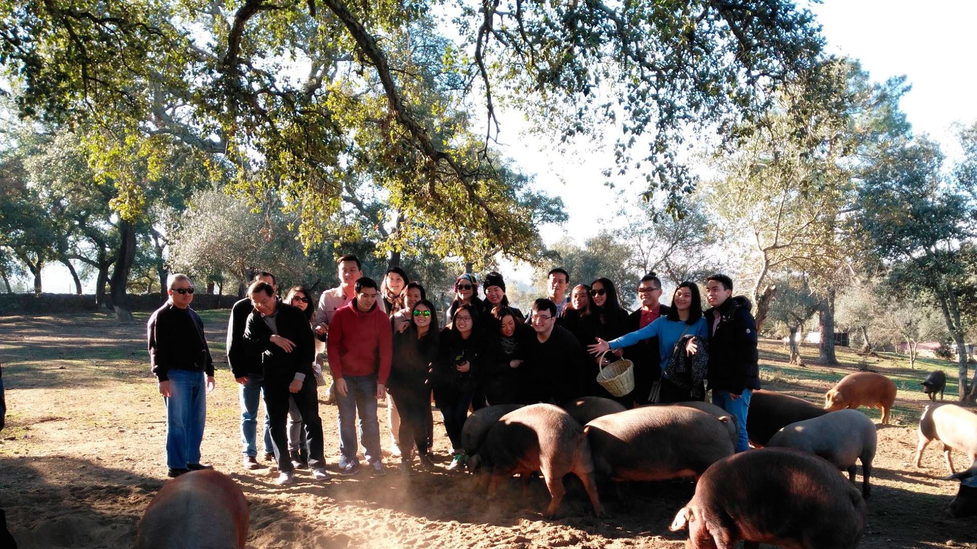 visitas guiadas sierra de Aracena